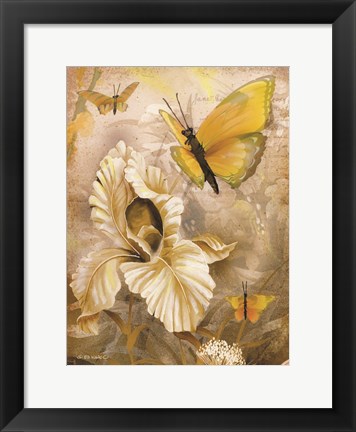 Framed Flower &amp; Butterflies I Print