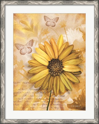 Framed Flower &amp; Butterflies II Print