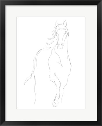 Framed Horse Contour I Print