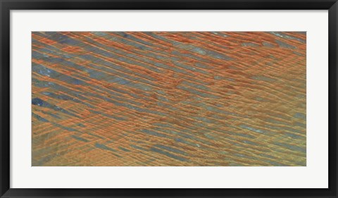 Framed Desert Patterns I Print