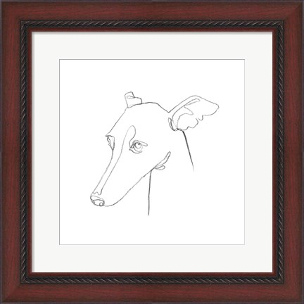Framed Greyhound Pencil Portrait I Print