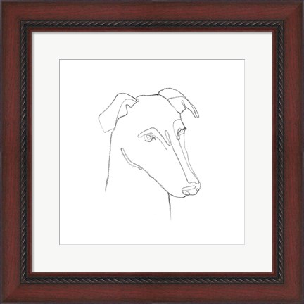 Framed Greyhound Pencil Portrait II Print