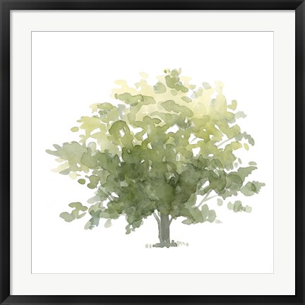 Framed Lonely Oak I Print