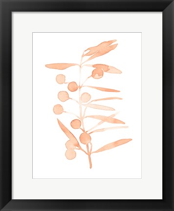 Framed Blush Olive Branch II Print