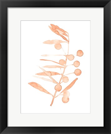 Framed Blush Olive Branch III Print