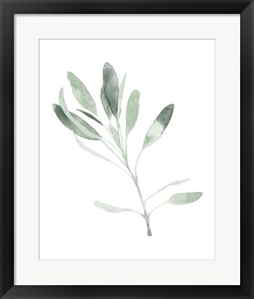 Framed Simple Sage II Print