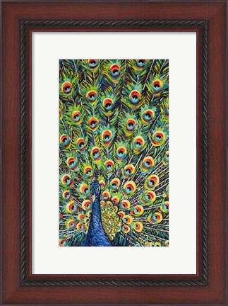 Framed Lavish Peacock I Print