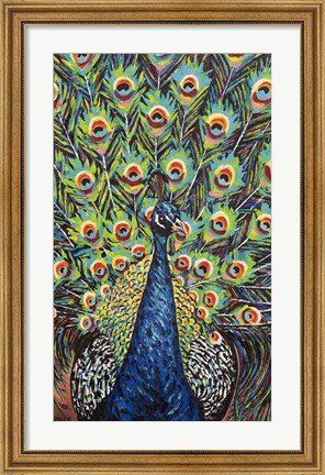 Framed Lavish Peacock II Print