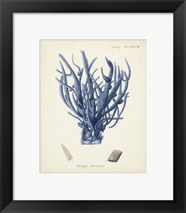 Framed Antique Coral in Navy V Print