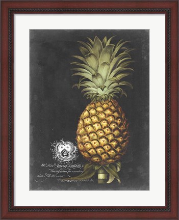 Framed Royal Brookshaw Pineapple I Print