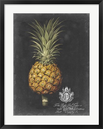 Framed Royal Brookshaw Pineapple II Print