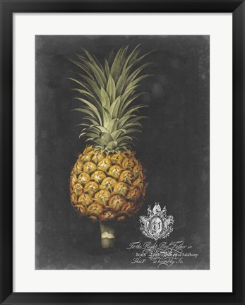 Framed Royal Brookshaw Pineapple II Print