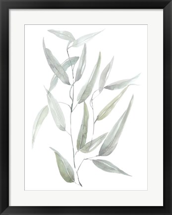 Framed Ethereal Eucalyptus I Print