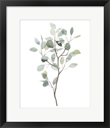 Framed Seaglass Eucalyptus I Print
