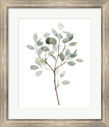 Framed Seaglass Eucalyptus II Print