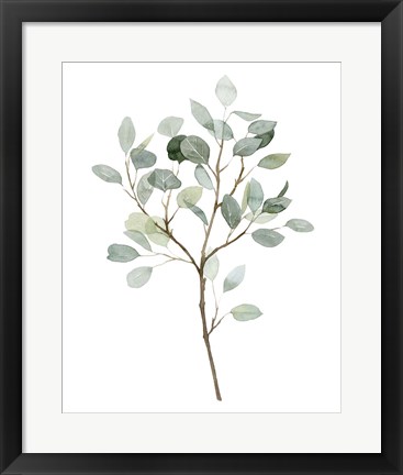 Framed Seaglass Eucalyptus II Print