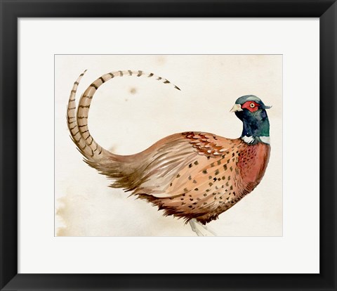 Framed Pheasantry I Print