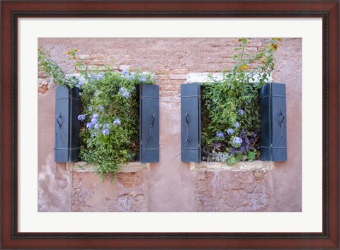 Framed Italian Window Flowers II Print
