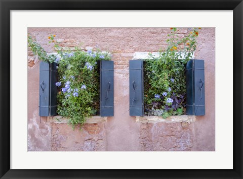 Framed Italian Window Flowers II Print