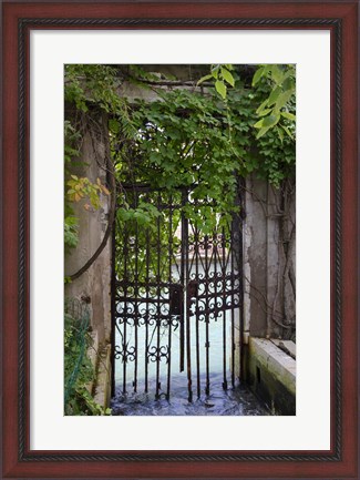 Framed Elegant Canal Entrance Print