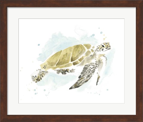 Framed Watercolor Sea Turtle Study I Print