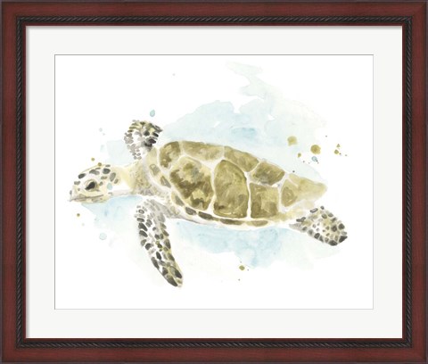 Framed Watercolor Sea Turtle Study II Print