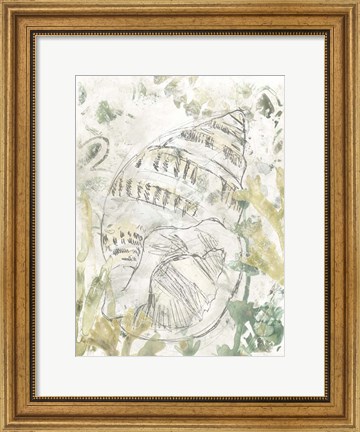 Framed Verdant Shell Fresco III Print
