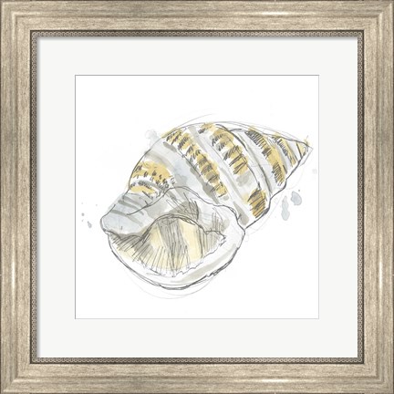 Framed Citron Shell Sketch I Print