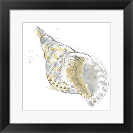 Framed Citron Shell Sketch II Print