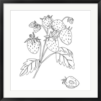 Framed Wild Strawberries II Print