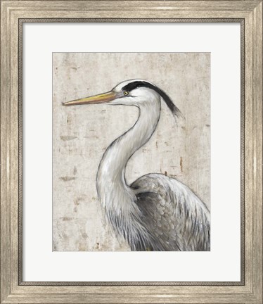 Framed Grey Heron II Print