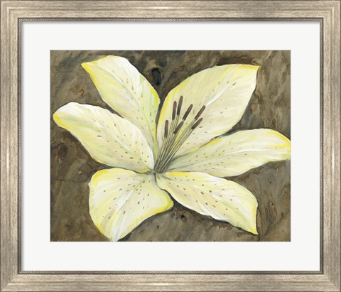 Framed Neutral Lily I Print