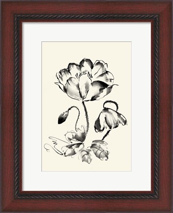 Framed Ink Wash Floral IV - Poppy Print