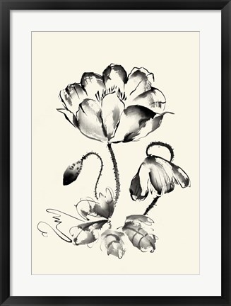 Framed Ink Wash Floral IV - Poppy Print