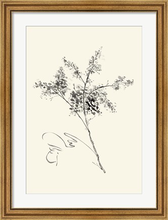 Framed Ink Wash Floral VII - Forsythia Print