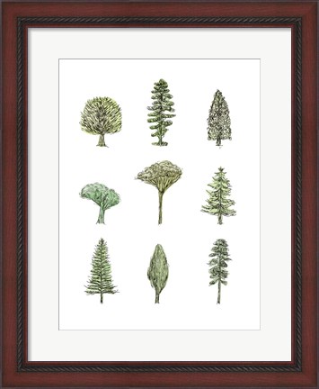 Framed Collected Pines II Print