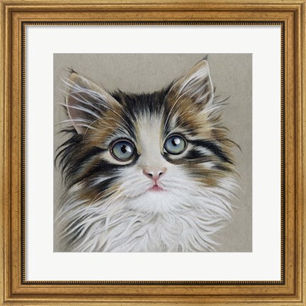 Framed Kitten Portrait II Print