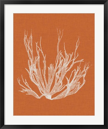 Framed Seaweed Pop I Print