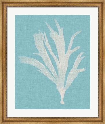 Framed Seaweed Pop IV Print