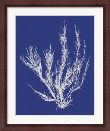 Framed Seaweed Pop VI Print