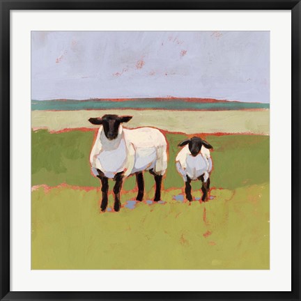 Framed Suffolk Sheep I Print