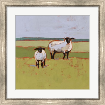 Framed Suffolk Sheep II Print