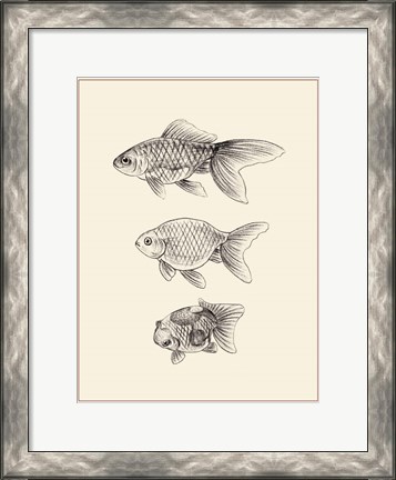Framed Goldfish IV Print