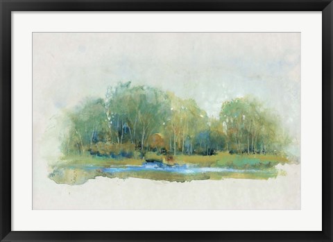 Framed Forest Vignette II Print