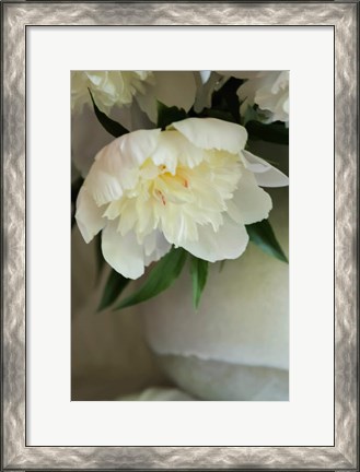 Framed White Peonies In Cream Pitcher 3 Print