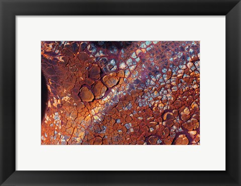 Framed Layers Of Worn Auto Paint Abstract 2 Print