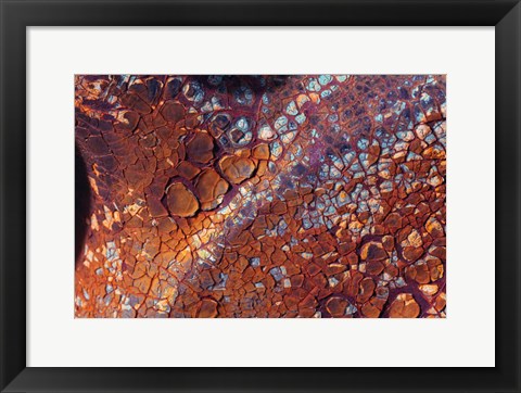 Framed Layers Of Worn Auto Paint Abstract 2 Print