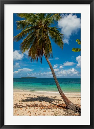 Framed Cramer Park Beach, St Croix, US Virgin Islands Print