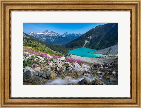 Framed British Columbia, Meltwater Stream Flows Past Wildflowers Into Upper Joffre Lake Print