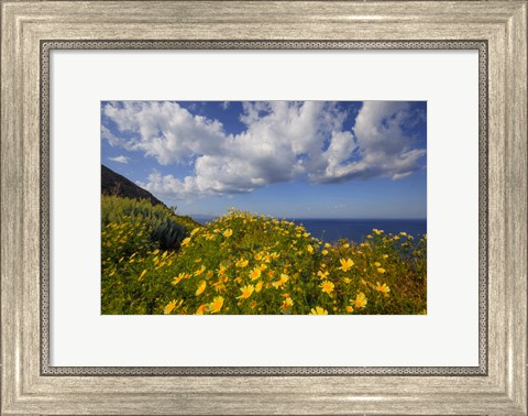 Framed Europe, Greece, Santorini Wildflowers And Ocean Landscape Print